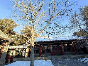 2023 12 PEKIN - PALAIS D ETE (22)